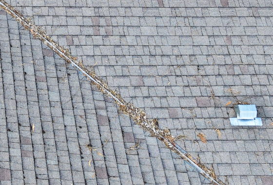 view of drain on roof clogged with brances and cedar needles.